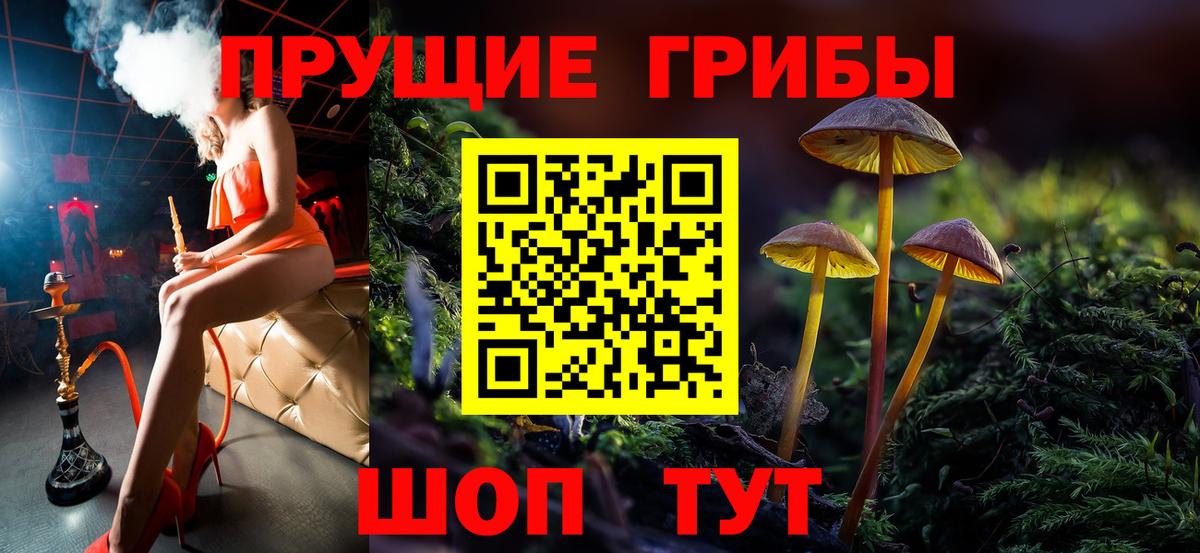 МЕФ Абакан