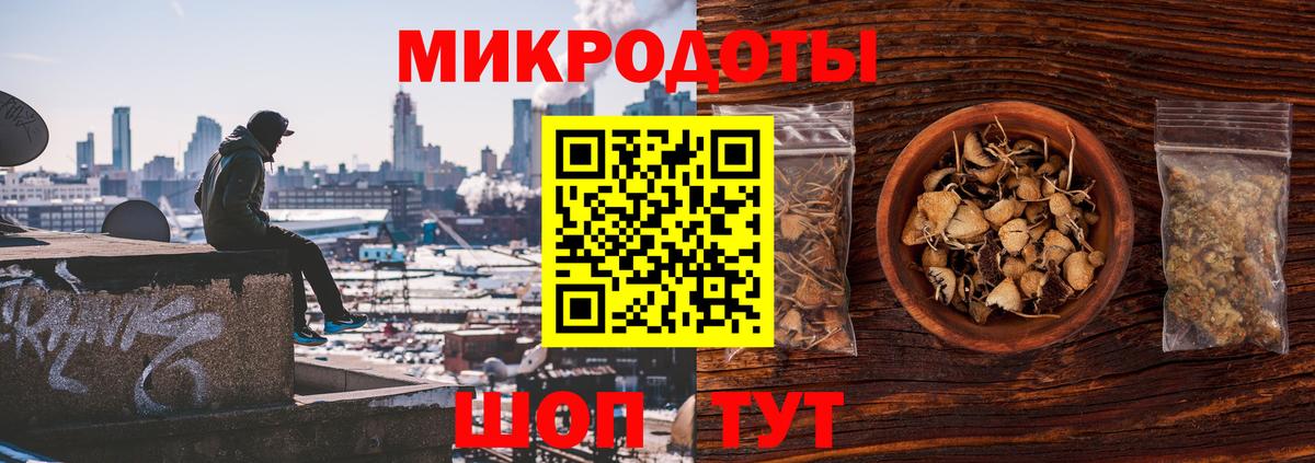 Галлюциногенные грибы прущие грибы Абакан